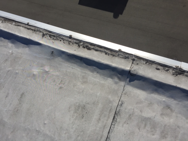 ã¤ããè±å²¡å·¥å ´é²æ°´_170113_0011